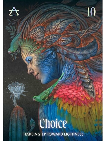 Shamanic Oracle kortos Rockpool Publishing 6 Shamanic Oracle kortos Rockpool Publishing 6