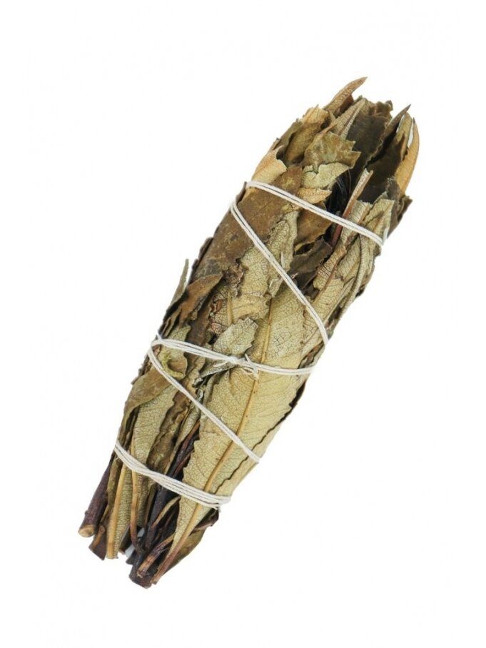 Smilkalai - Yerba Santa Šalavijas Ancient Wisdom 1