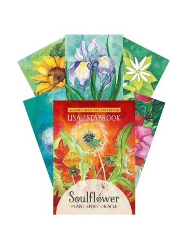 Soulflower Plant Spirit Oracle kortos Findhorn Press