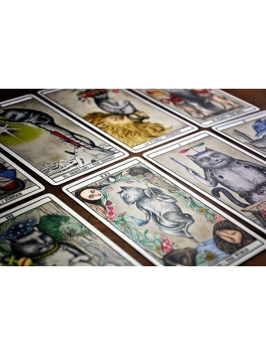 Tarot Cats kortos Fournier