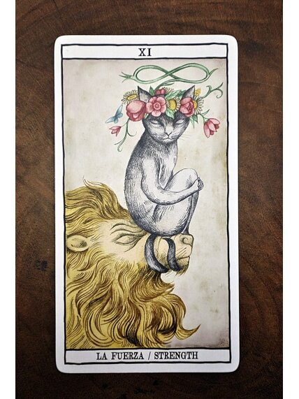 Tarot Cats kortos Fournier 7