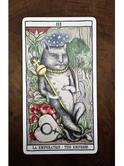 Tarot Cats kortos Fournier 10 Tarot Cats kortos Fournier 10