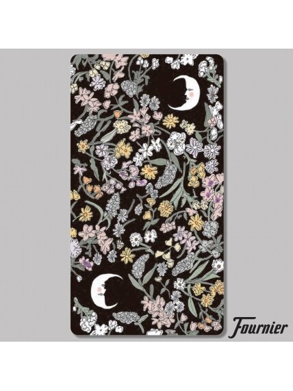 Tarot De Carlotydes taro kortos Fournier 4