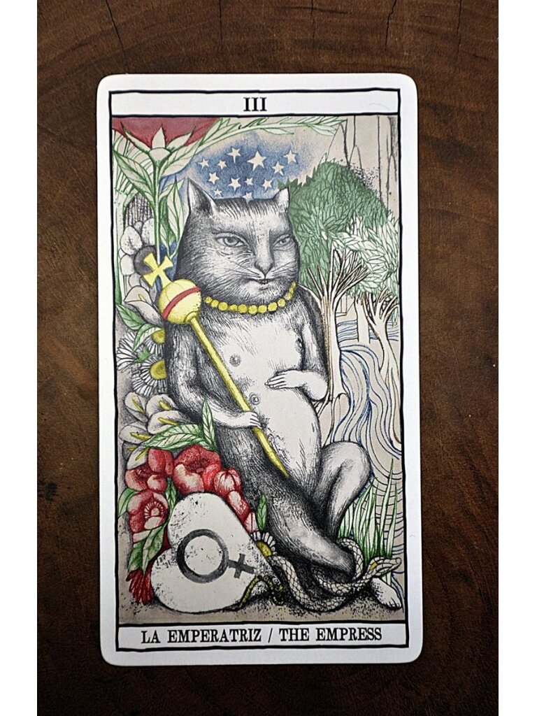 Tarot Cats kortos Fournier 10 Tarot Cats kortos Fournier 10