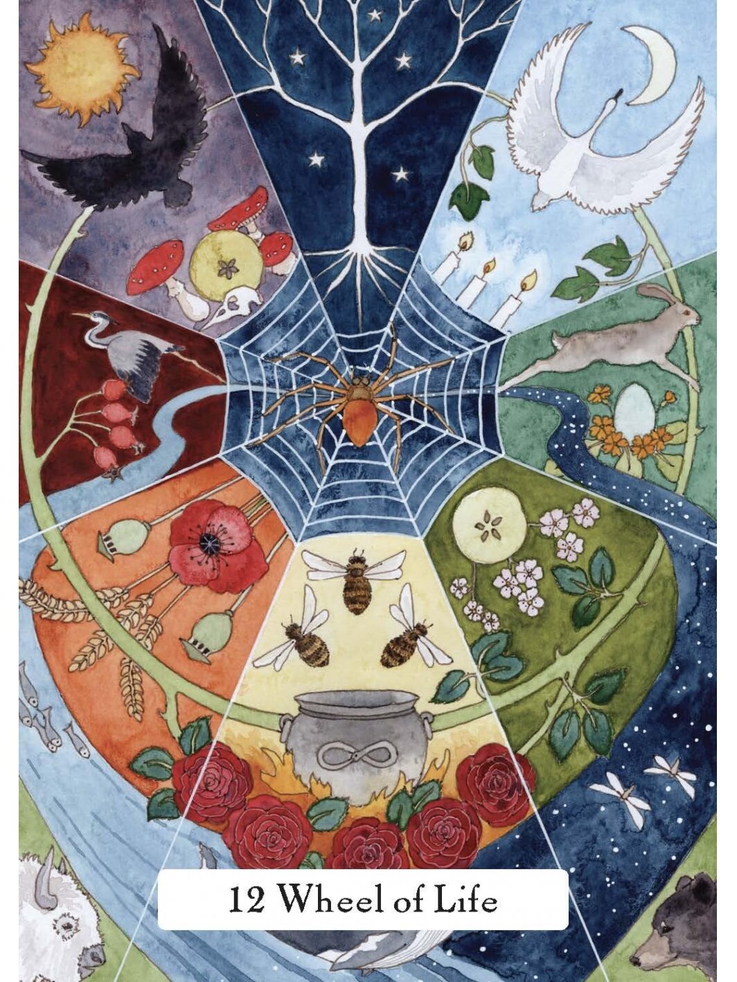 The Witches Wisdom Taro kortos Hay House (standartinis leidimas) 5