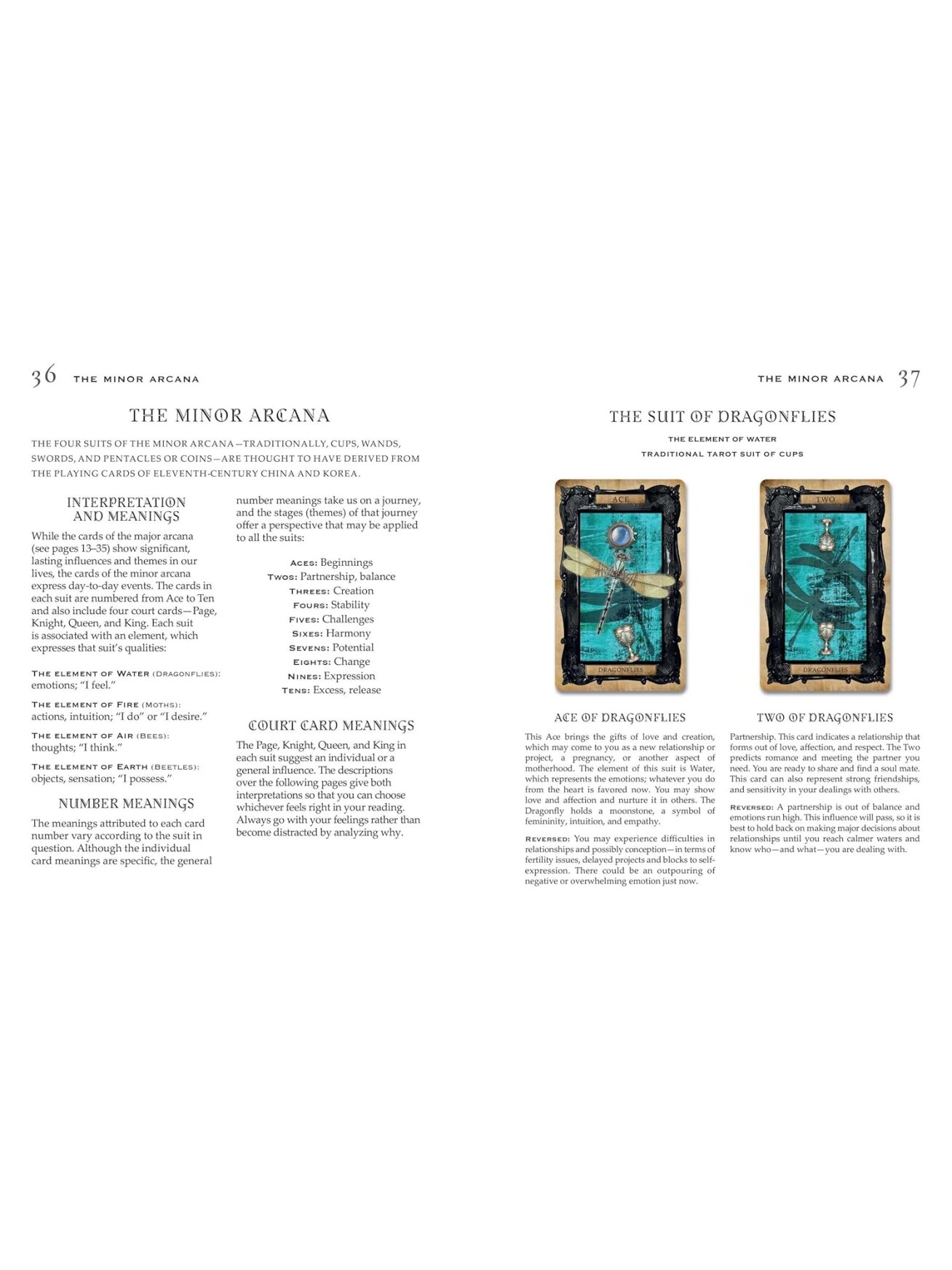 The Gothic Steampunk Tarot: kortų ir knygos rinkinys Cico Books 5