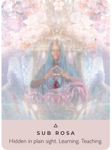 The Rose Pocket Oracle Kortos Hay House