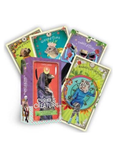 The Tarot of Curious Creatures kortos Hay House