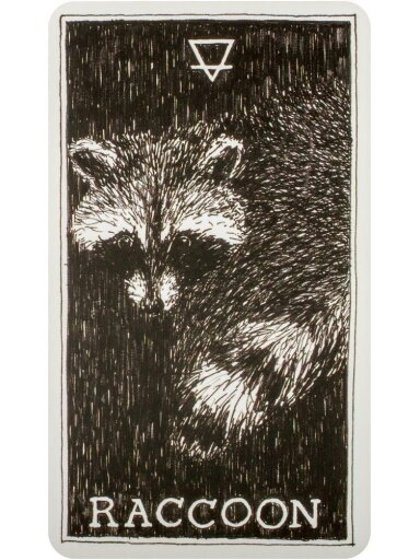 The Wild Unknown Animal Spirit Oracle kortų ir knygos rinkinys Harper One