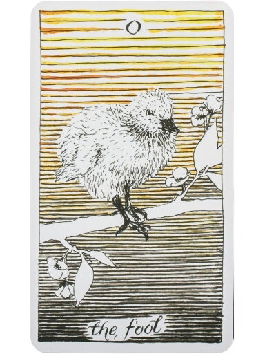 The Wild Unknown Tarot kortos Harper One