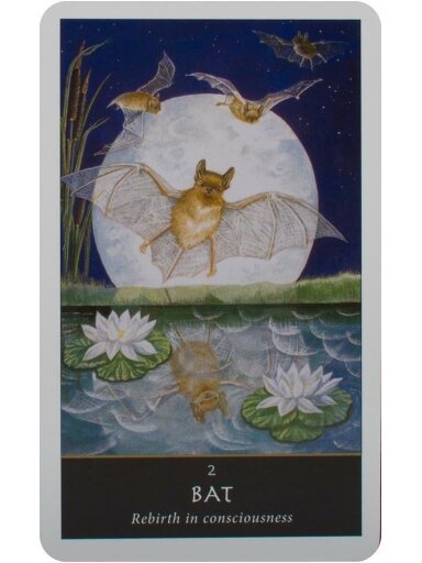 The Witches Oracle kortos Welbeck Publishing