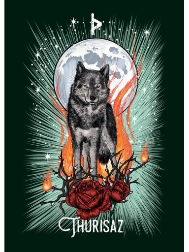 The Witch’s Familiar Runic Oracle kortos Pocket Hay House