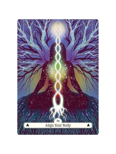 The Witch's Way Home Oracle kortos Hay House
