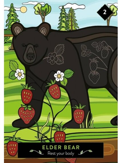 The Animal Elders Oracle kortos Hay House 4 The Animal Elders Oracle kortos Hay House 4