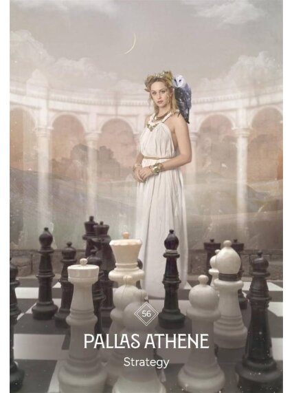 The Business Astrology Oracle kortos Hay House 5 The Business Astrology Oracle kortos Hay House 5