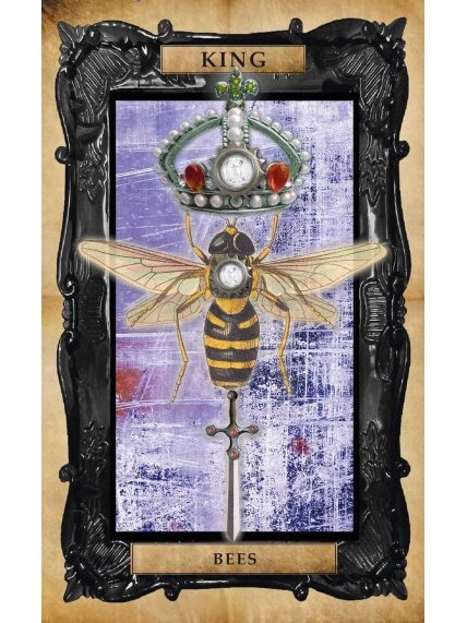 The Gothic Steampunk Tarot: kortų ir knygos rinkinys Cico Books 4