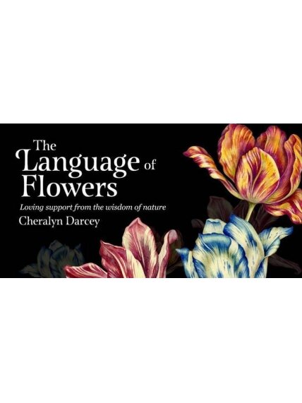 The Language of Flowers Inspiration kortos Rockpool 1