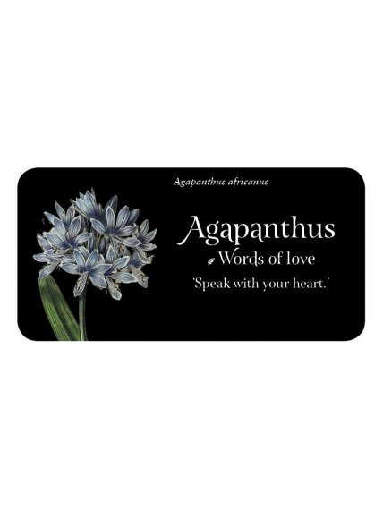 The Language of Flowers Inspiration kortos Rockpool 3 The Language of Flowers Inspiration kortos Rockpool 3
