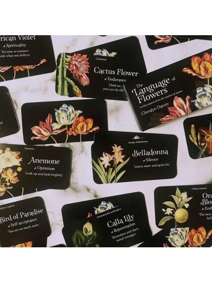 The Language of Flowers Inspiration kortos Rockpool 4 The Language of Flowers Inspiration kortos Rockpool 4