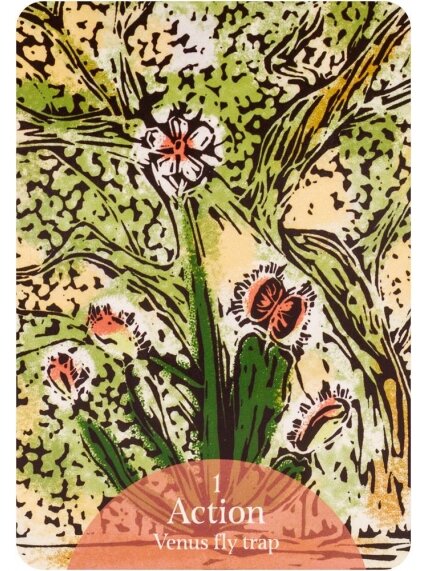 The Language of Flowers Oracle kortos Rockpool 3 The Language of Flowers Oracle kortos Rockpool 3