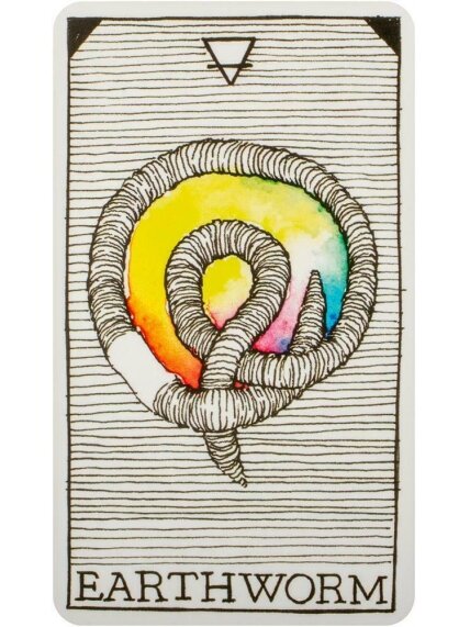 The Wild Unknown Pocket Animal Spirit kortos Harper One 2 The Wild Unknown Pocket Animal Spirit kortos Harper One 2