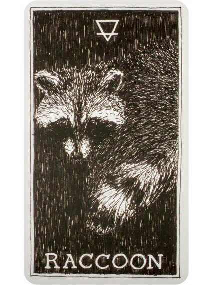The Wild Unknown Pocket Animal Spirit kortos Harper One 3 The Wild Unknown Pocket Animal Spirit kortos Harper One 3