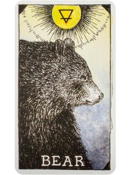 The Wild Unknown Pocket Animal Spirit kortos Harper One 1