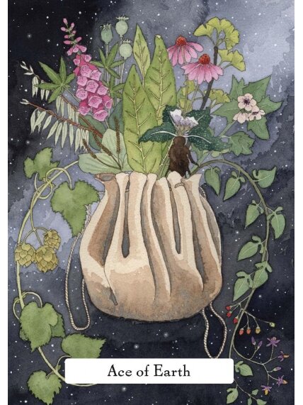 The Witches Wisdom Taro kortos Hay House (standartinis leidimas) 4 The Witches Wisdom Taro kortos Hay House (standartinis leidimas) 4
