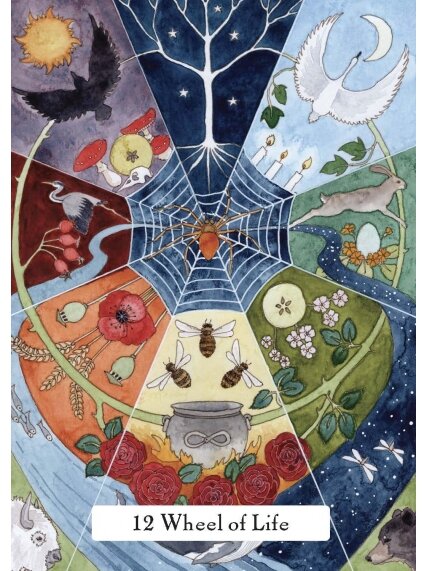 The Witches Wisdom Taro kortos Hay House (standartinis leidimas) 5