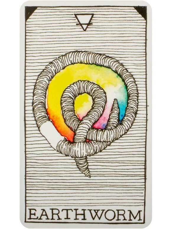 The Wild Unknown Pocket Animal Spirit kortos Harper One 2 The Wild Unknown Pocket Animal Spirit kortos Harper One 2