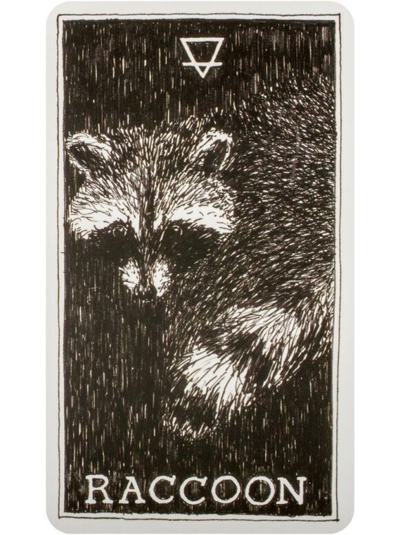 The Wild Unknown Pocket Animal Spirit kortos Harper One 3 The Wild Unknown Pocket Animal Spirit kortos Harper One 3