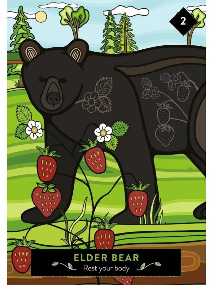 The Animal Elders Oracle kortos Hay House 4 The Animal Elders Oracle kortos Hay House 4