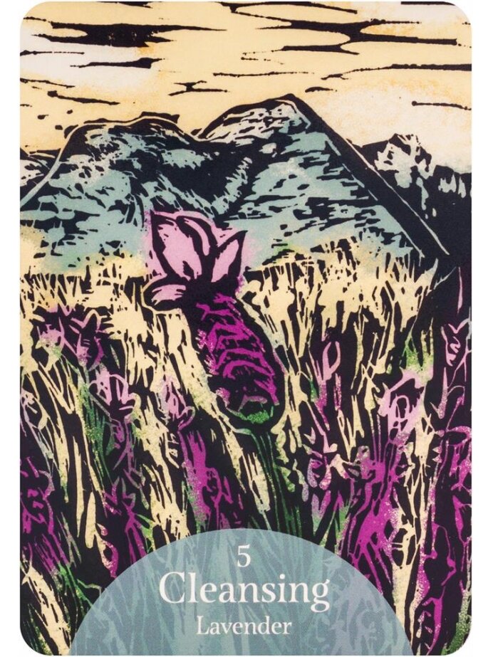 The Language of Flowers Oracle kortos Rockpool 6 The Language of Flowers Oracle kortos Rockpool 6
