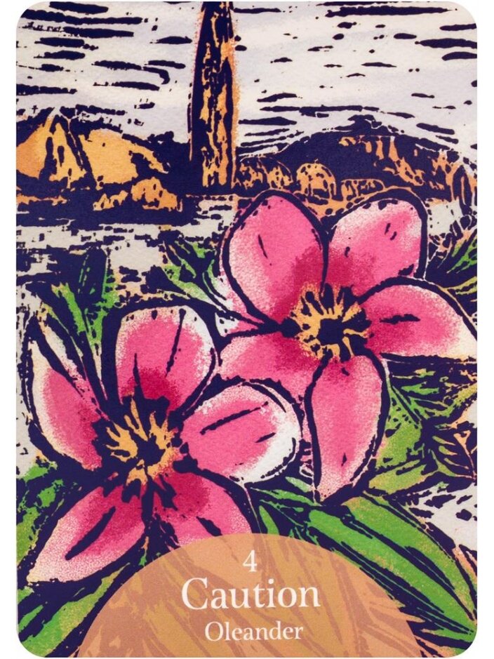 The Language of Flowers Oracle kortos Rockpool 5 The Language of Flowers Oracle kortos Rockpool 5