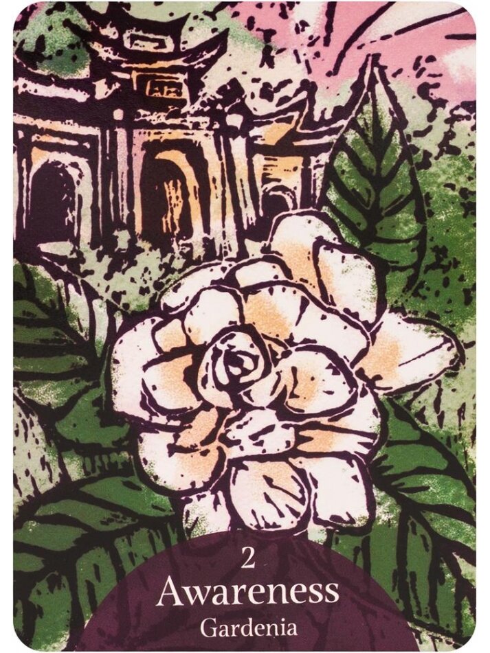 The Language of Flowers Oracle kortos Rockpool 4 The Language of Flowers Oracle kortos Rockpool 4