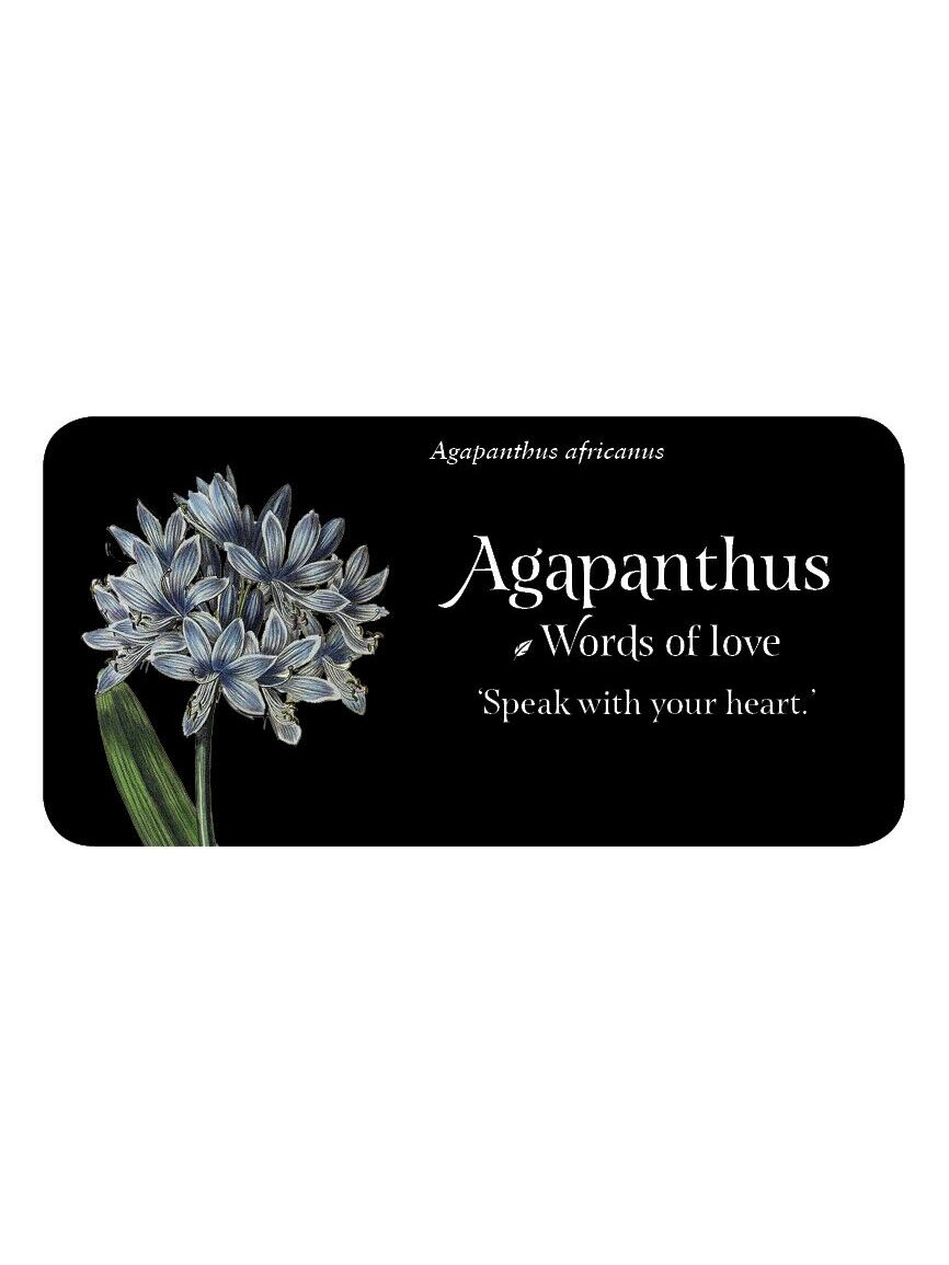 The Language of Flowers Inspiration kortos Rockpool 3 The Language of Flowers Inspiration kortos Rockpool 3