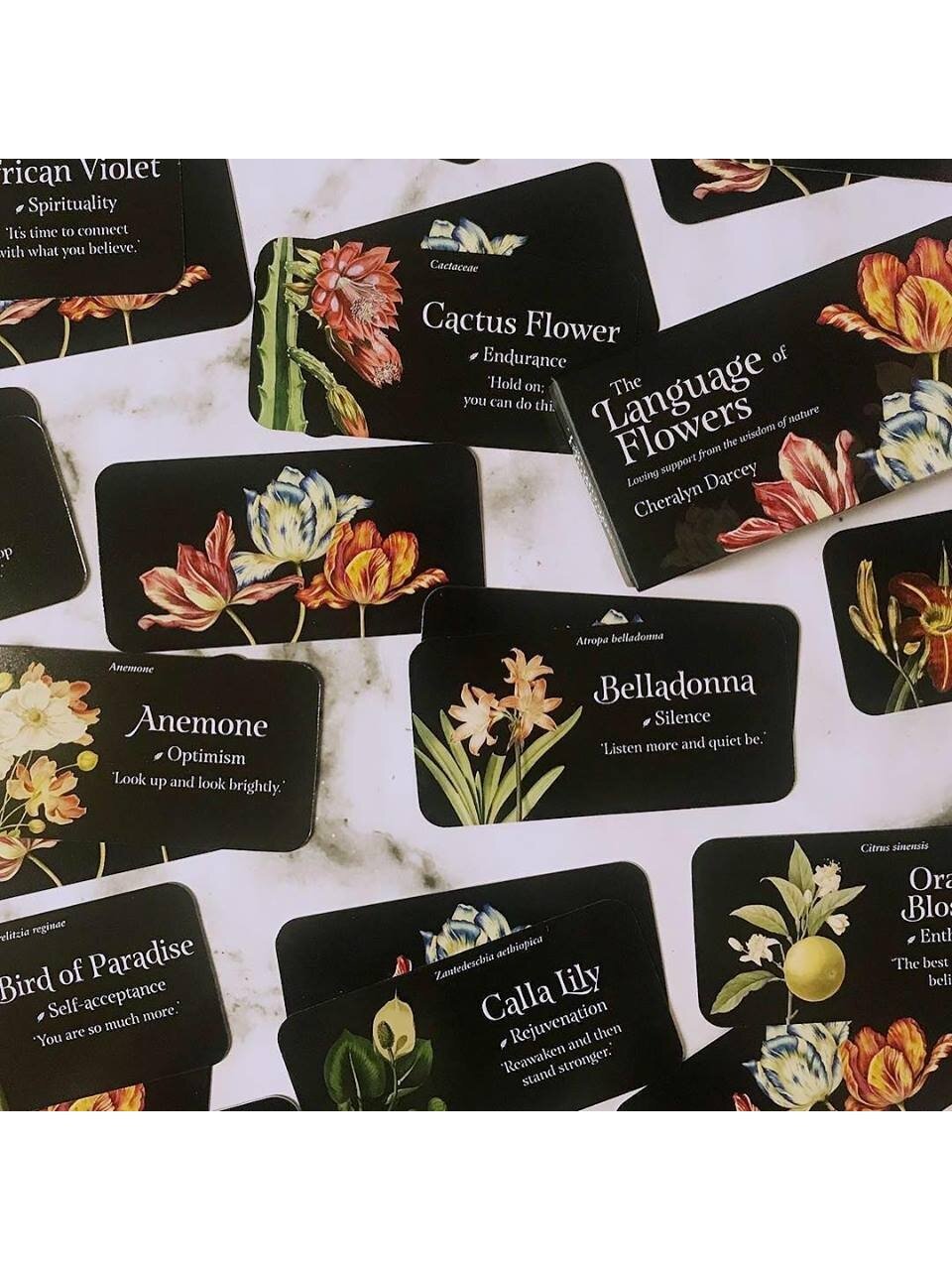 The Language of Flowers Inspiration kortos Rockpool 4 The Language of Flowers Inspiration kortos Rockpool 4