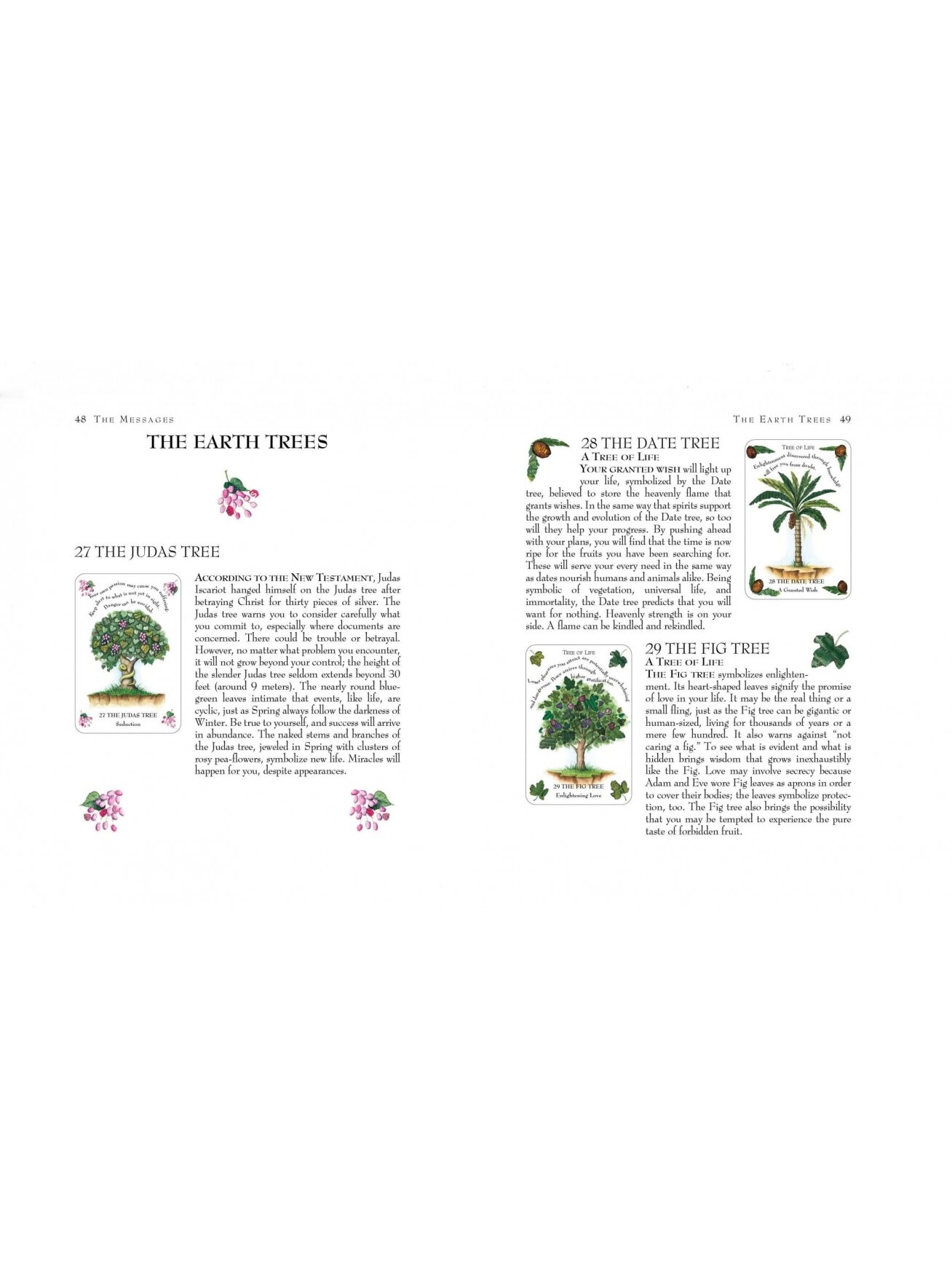 Tree Magick Oracle kortos Cico Books 3 Tree Magick Oracle kortos Cico Books 3