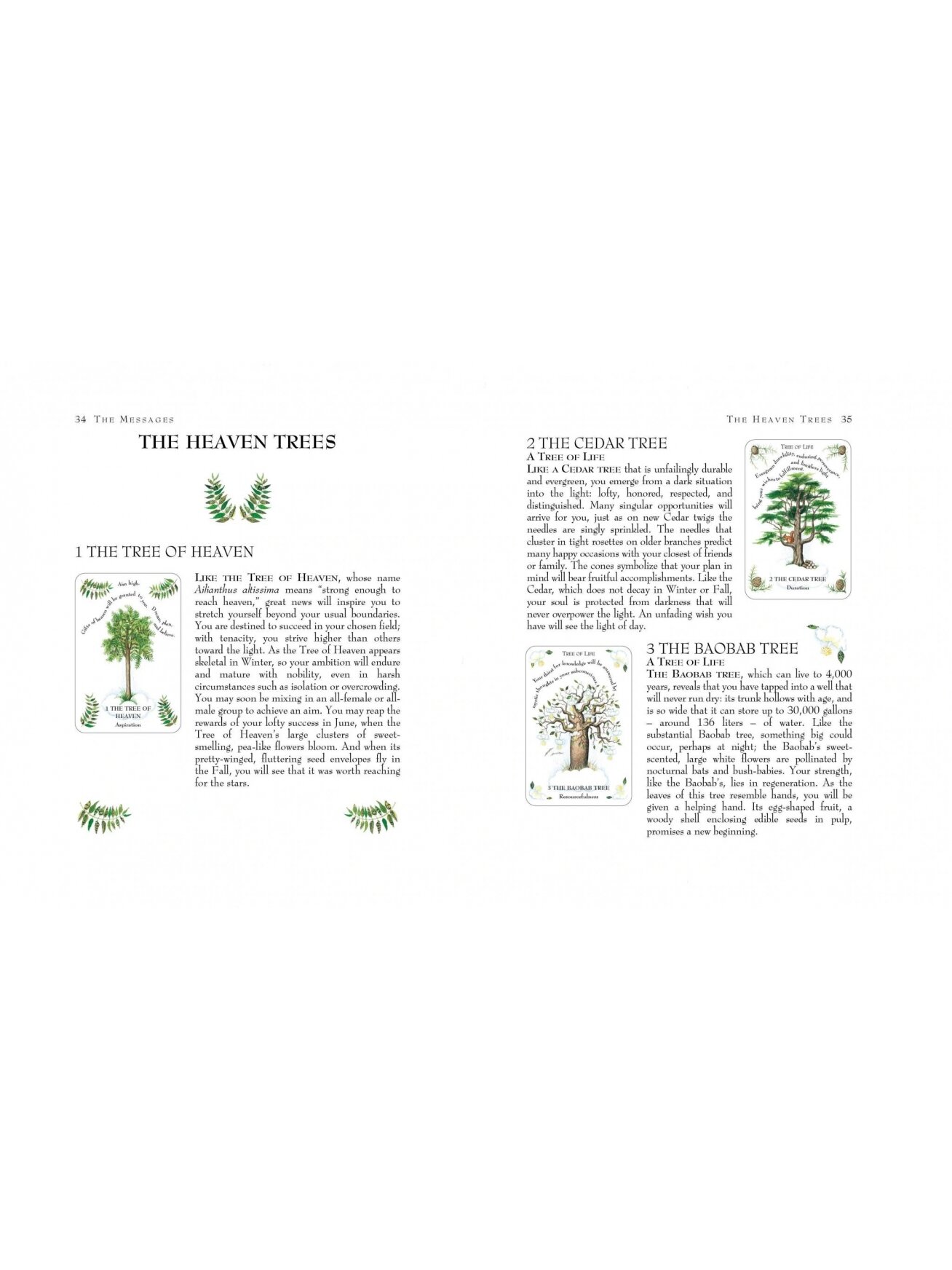 Tree Magick Oracle kortos Cico Books 1