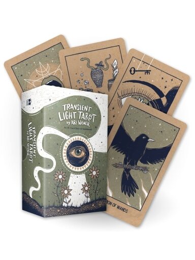 Transient Light Tarot kortos Hay House