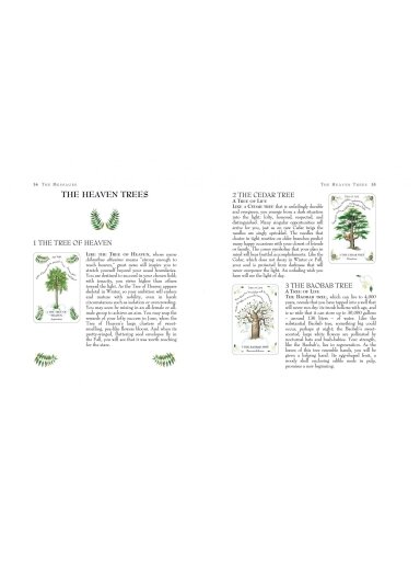 Tree Magick Oracle kortos Cico Books