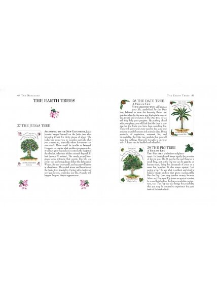 Tree Magick Oracle kortos Cico Books 3 Tree Magick Oracle kortos Cico Books 3