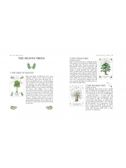 Tree Magick Oracle kortos Cico Books 1 Tree Magick Oracle kortos Cico Books 1