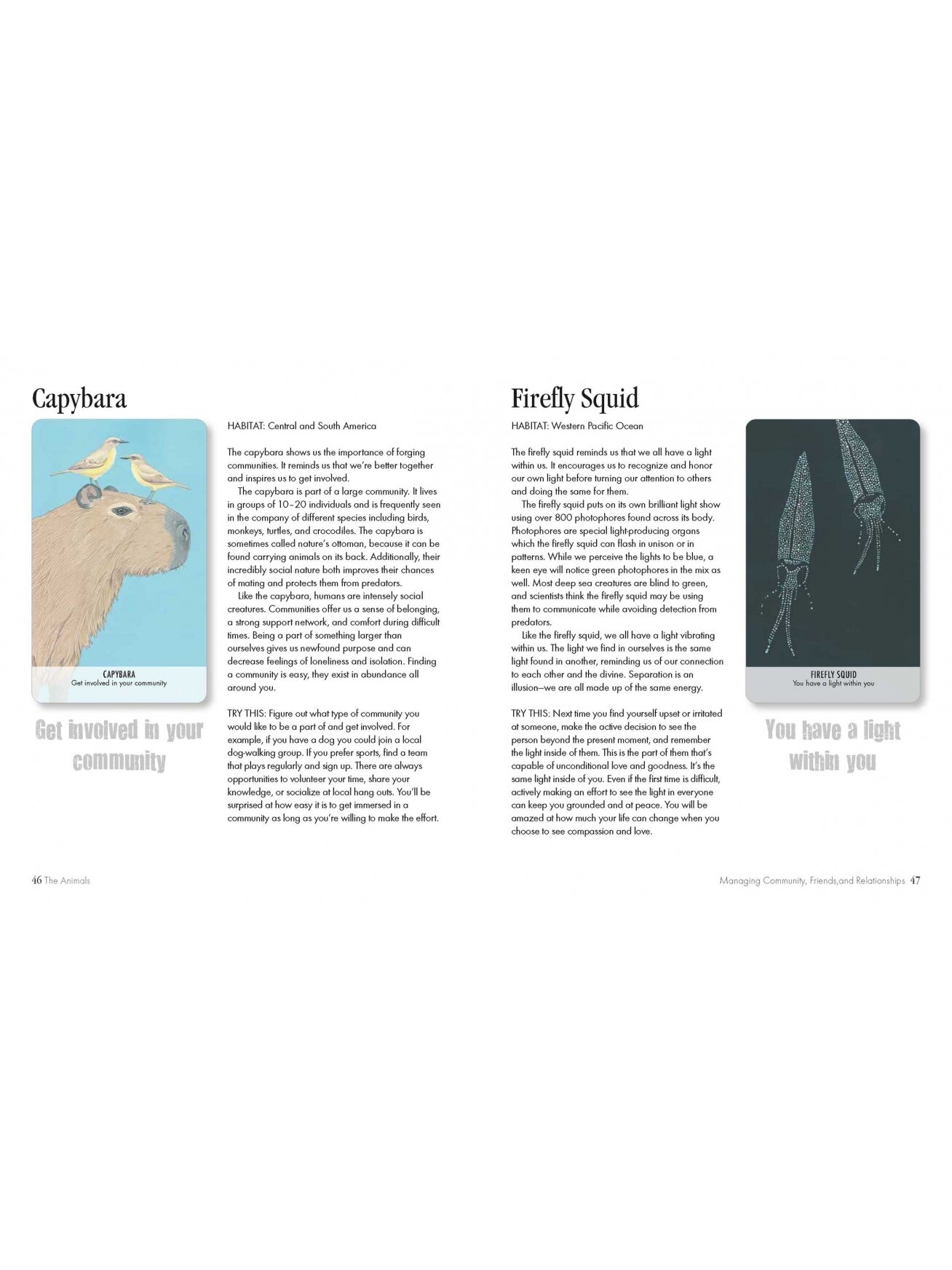 Unusual Animal Messages Oracle kortos Cico Books 5 Unusual Animal Messages Oracle kortos Cico Books 5
