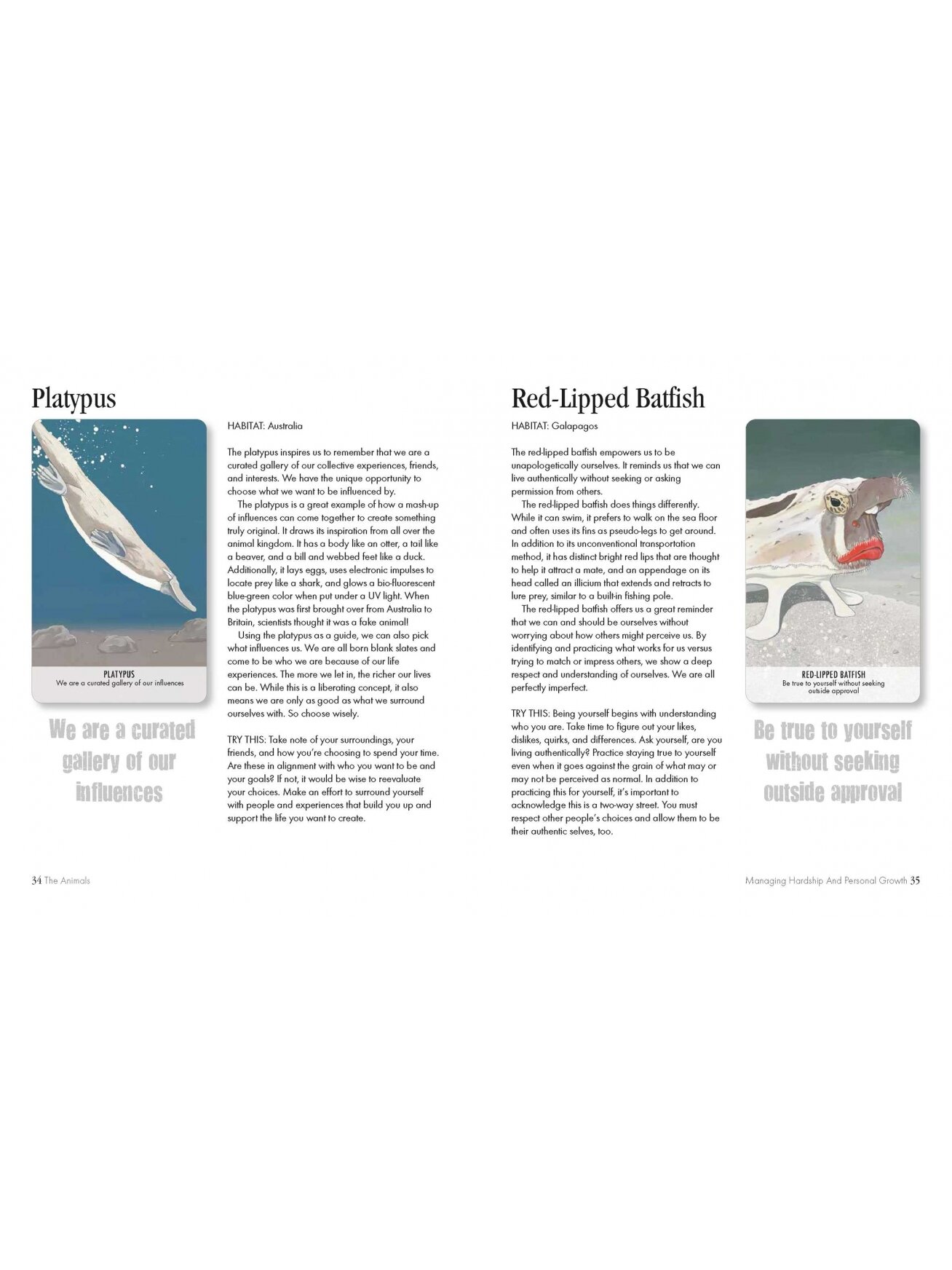 Unusual Animal Messages Oracle kortos Cico Books 6 Unusual Animal Messages Oracle kortos Cico Books 6