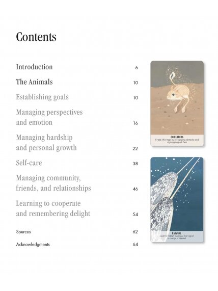 Unusual Animal Messages Oracle kortos Cico Books 2 Unusual Animal Messages Oracle kortos Cico Books 2