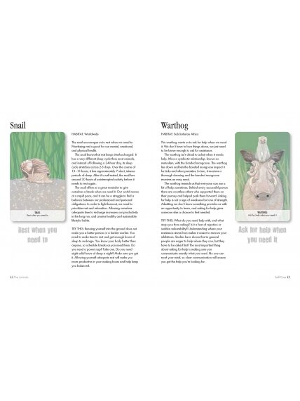 Unusual Animal Messages Oracle kortos Cico Books 4