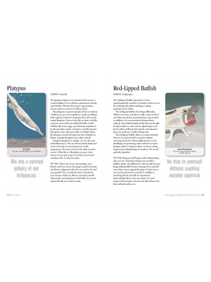 Unusual Animal Messages Oracle kortos Cico Books 6 Unusual Animal Messages Oracle kortos Cico Books 6