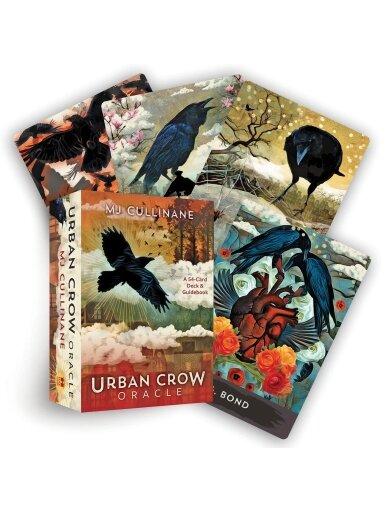 Urban Crow Oracle kortos Hay House