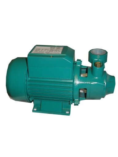 Vandens siurblio variklis QB 60